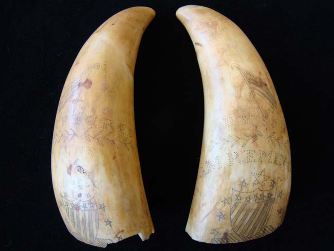 A pair of 19th century scrimshawed whales' teeth dating to 1869
